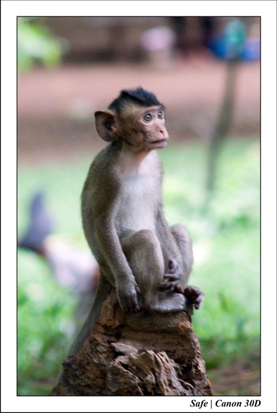 2006 - 07 - Phnom Penh - Wat Phrom 19